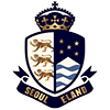 Seoul E-land FC